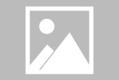 社区反馈称，公链推动金融数字化进程