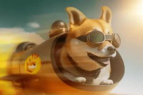 半岛体育-狗狗币官宣与290携手，开启元宇宙新纪元！的简单介绍