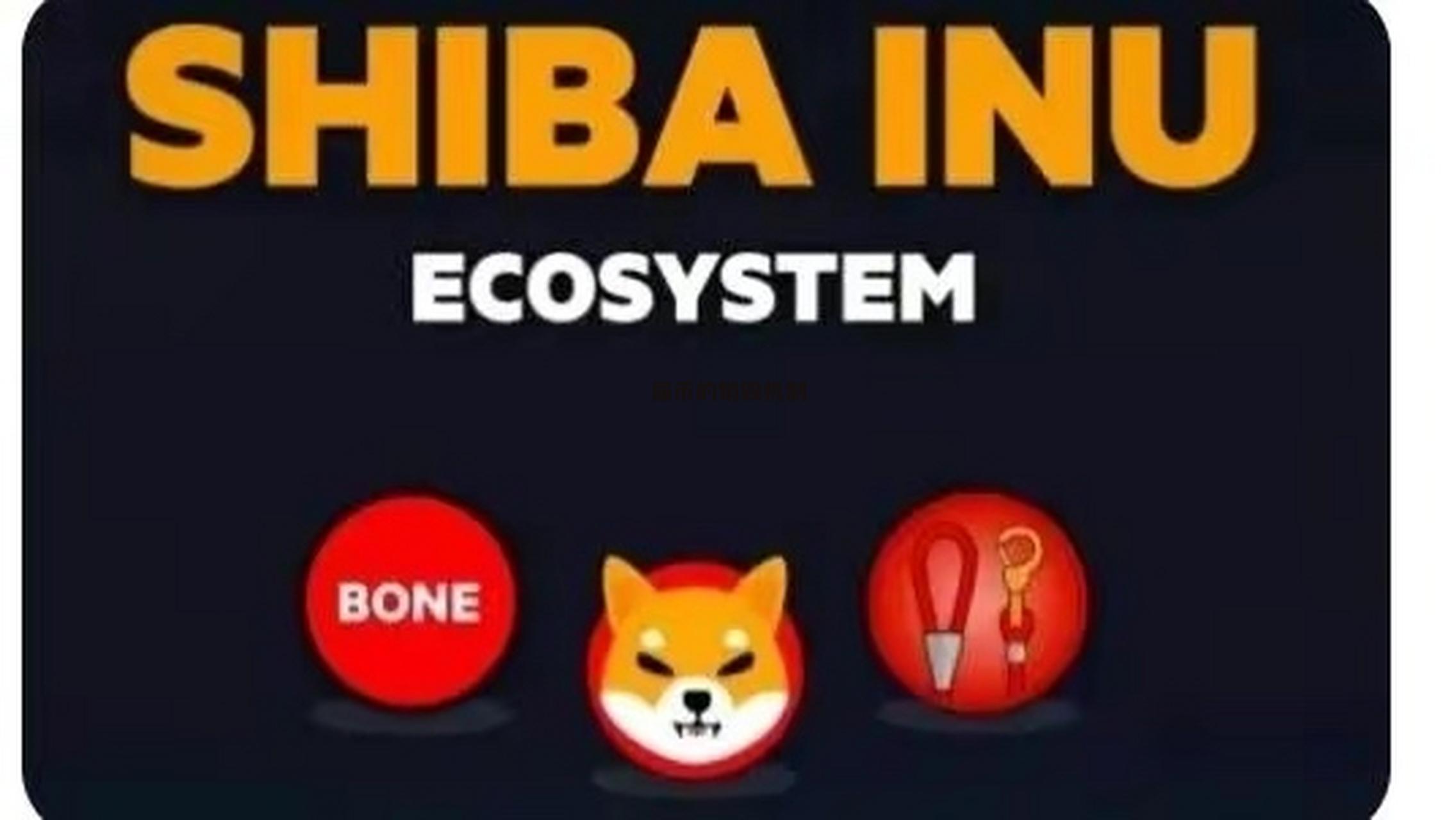 关于专家称SHIB将在年底冲破12美元，引发引发关注的信息