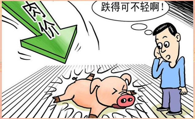 包含TON遭遇大幅下滑超26.99%，投资者恐慌性抛售的词条